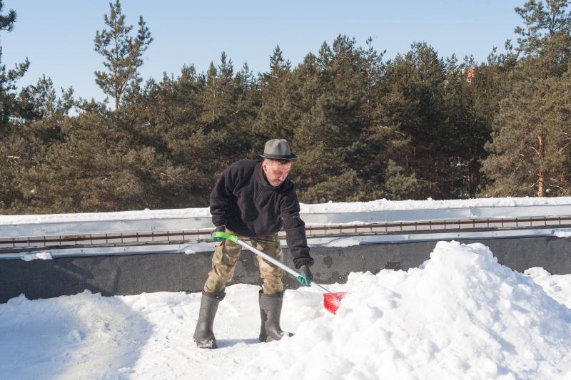 Sidewalk Snow Shoveling